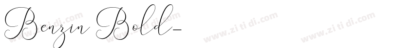 Benzin Bold字体转换